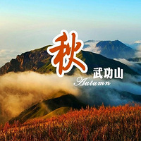 ���𳵰���ͬ�С�11.29��12.1�ţ�����Ʋݡ������书