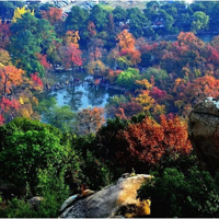 ��������ɫ��11.28����ĩ��ƽɽ����һ�����ͯ��֮Լ��