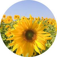 �᲻������һ������򿨵ء���