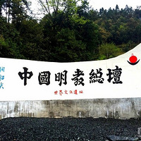 ���鴬�⡿11��24�գ����գ��嶥��С�书ɽ��������̳������