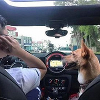 Сݣֱšˡ