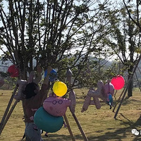 ··�ĵ�һ�����ջ�