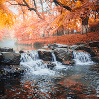 ����ͽ����Ϫ����С����