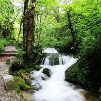 �żҽ����ι��ԣ����żҽ粻���ţ�������/�Լ���/��������ô�棿