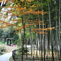 ���Ŷ��Ǿ�