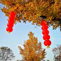 ��11.20����̬