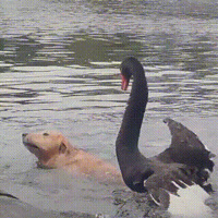 ëӾ춾ǶԵŤǵµɥ