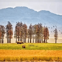 [����ͯ��]12.1����������ˮɼ���������ѹŵ�����������