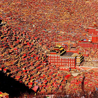 12��7��-10�մ���С���� �� ���ɫ�ﻷ��4��