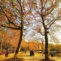 է��ȫ���죬���ܸ��޷硣