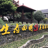 �׽���Ȼ����ս���ҡ��ھŶ���Ͽ�ȴ�Խ