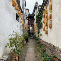 ��Ȼ��ɽˮ������������ ŨŨ����ζ ����ɽˮ ��������