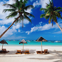 ���������г���ϸ���ԣ�����ȼٱܺ��ĺ�ȥ��