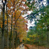 ����ຼ�����ֳ�