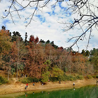 �����ֳ�֮��