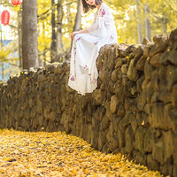 �����ڳ����Ӵ����µ�һ������������������