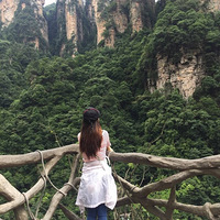 �����������żҽ�����ע�������ܰ��ʾ