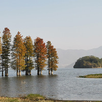 �������ĳ�ɼ������