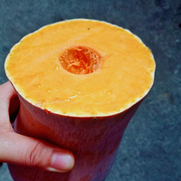 ��11.24��+��ʳ