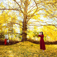 �����ڳ����Ӵ�|������ ����Ȫ ס����