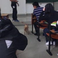 ȥϿΣû뵽һ¾ʦϹ