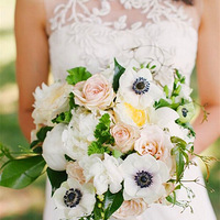 ����ȫ�����嵥������������±�����������~