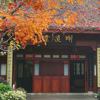 ������Ժ