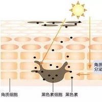 ������·����do�ɶ���Ů�����棬����ɹ��ĵط���ֻ�Ǳ��ӡ�