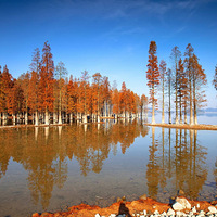 ����������ɫ��12.01���͡��㶫����˹��һ���ˮ��һ�����