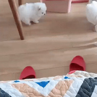 СͷĳҪ...