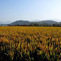 ����ɽ������ͼ