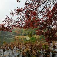 �����ﾰ����ʱ