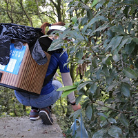 ��Ҷ����������������������