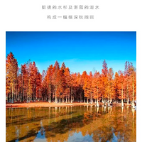 ������ͯ����12.1�����գ���������������ˮɼ���������ѹŵ�