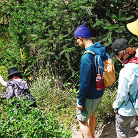 11��30�ճ��� �պ��ŵ�֮�� ���ݵ��պ��ŵ�һ���� ͽ���ŵ�