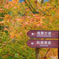 �㽭ͽ�� ̨����̨һ���� �㽭�����ĺ��ŵ������ϻƹŵ� ��ĩ