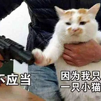 èҲн˻ܾ
