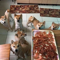 7ֻ6ֻͬʱԽʺٲ