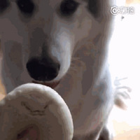 ˹Ժ󣬲ʺĻ϶ˡ