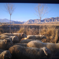 ��2019���һ������