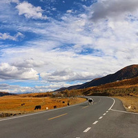 ̽������