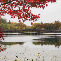 �߹���̨�μ�