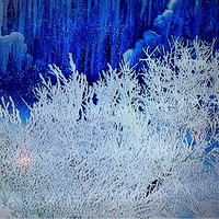 �°汾�ˣ�9ͼ�ɲ����Է����������Կ��᲻