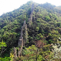 ������ƺ����ҹ������ɭ�ֹŵ�����������ƺ�ǿ�֮ҹ