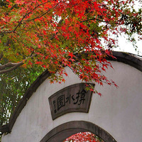 ����ɨ��