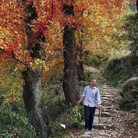 ͽ���ǲ����������л������ഺ����Ƥ�� һ��ȥͽ����