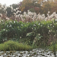 �ټ�����