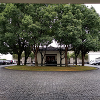 ��ƹ��������ƺ�������˸���ɽ�ӡ���1��