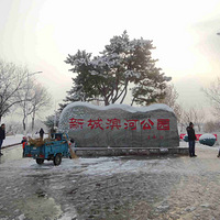 ���߱鱱����2019��11��30�մ�Խ��ƽ�³Ǳ��ӹ�԰��ѩ����Ƭ