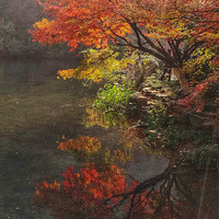 ��Ϫ����